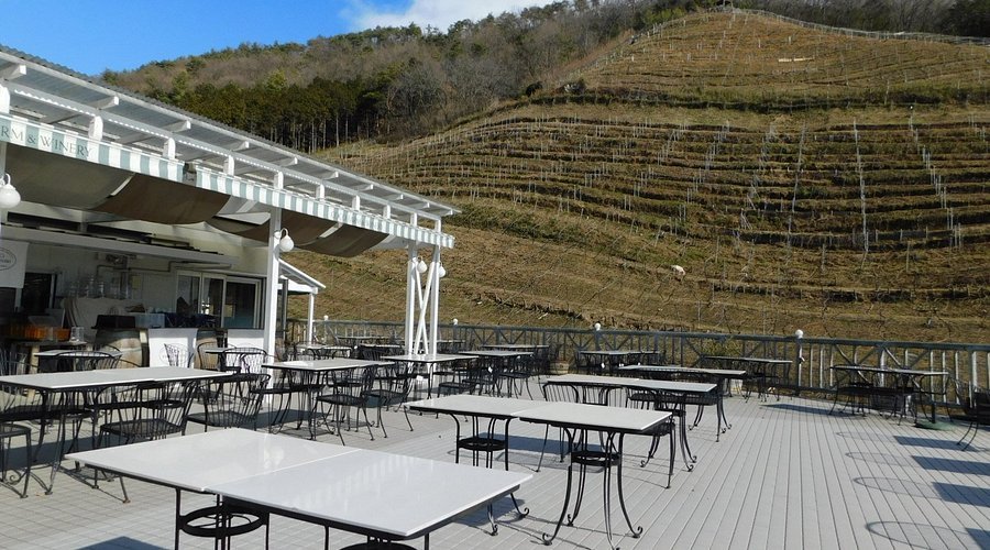 🍇 코코 팜 와이너리(코코 파무 와이나리) 이미지 1